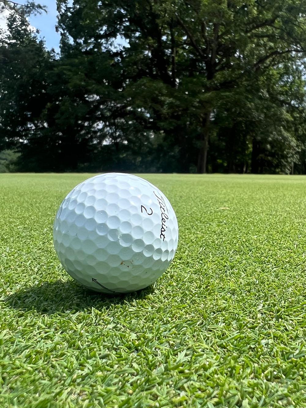 Futura Fairway